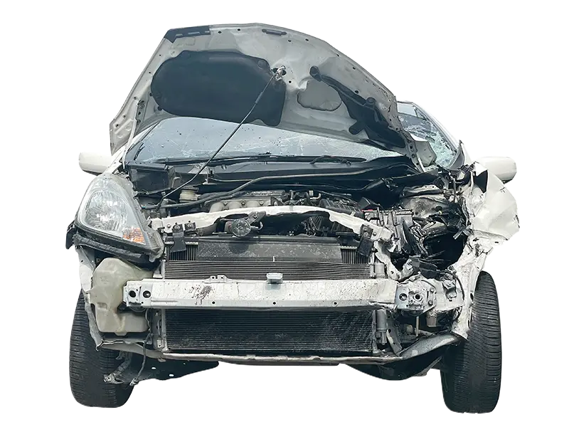 Steta na automobilu ilustracija